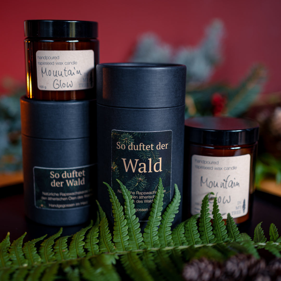 Duftkerze deiner Wahl (100 gr) in schwarzer Geschenk-Verpackung – IN MY TREE